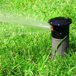 Water Sprinkler