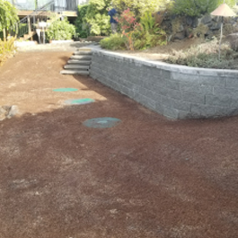 Bare Garden Yard