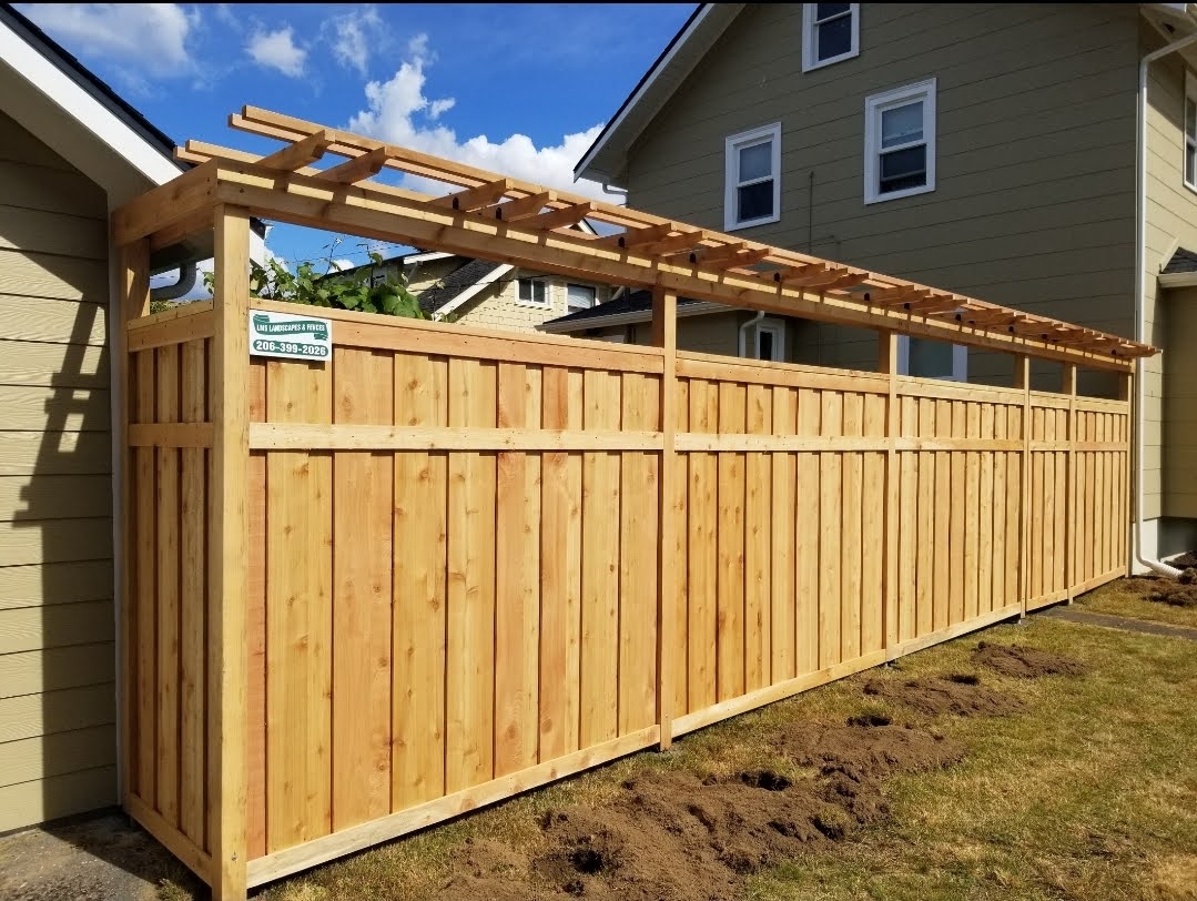6'FT OVERLAPPED CEDAR FENCE WITH PERGOLA ON TOP.